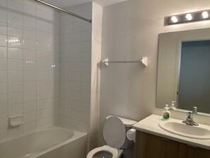 Secador de cabelo, toalhas de banho, sabonete, papel higiênico