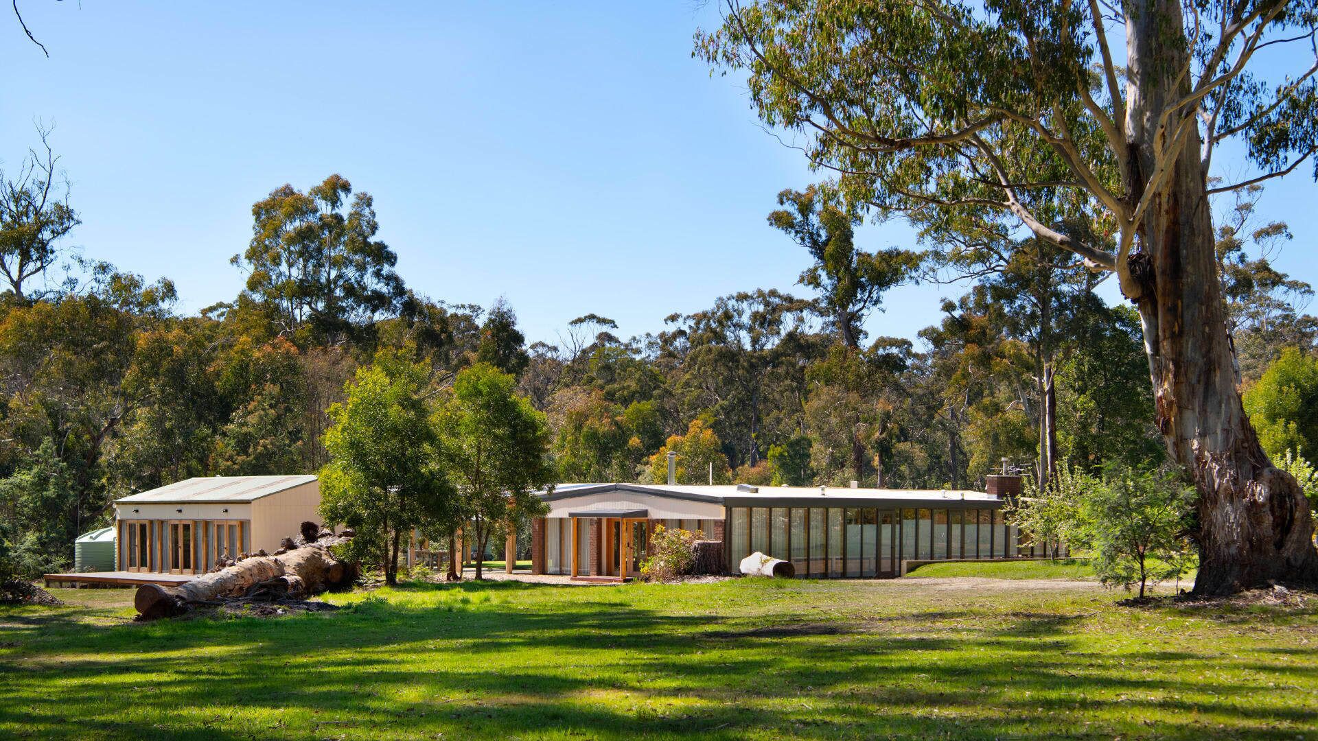 A modern house with a large glass facade, surrounded by a lush green lawn and eucalyptus trees.