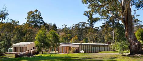 A modern house with a large glass facade, surrounded by a lush green lawn and eucalyptus trees.