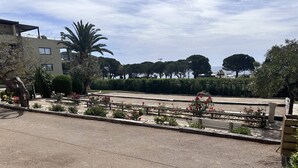 A courtyard with a paved area, flower beds, and a palm tree.