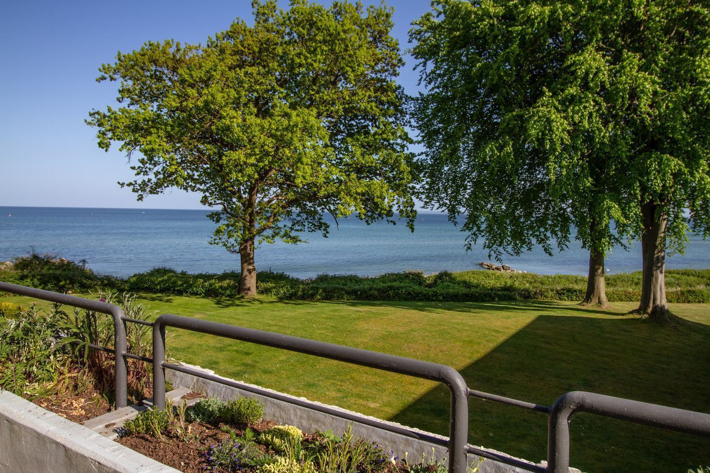 A coastal view with a grassy area and trees, a railing, and a clear sky.