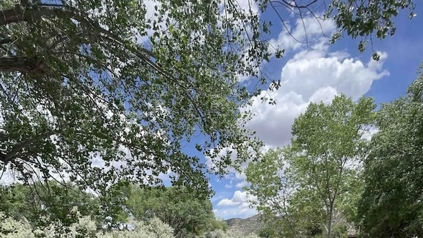 Una terraza de madera con vista a un río, árboles y cielo despejado.