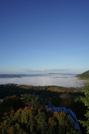 Cảnh từ trên cao