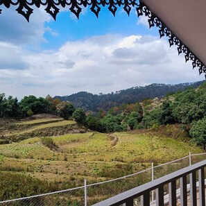 Vista del balcón