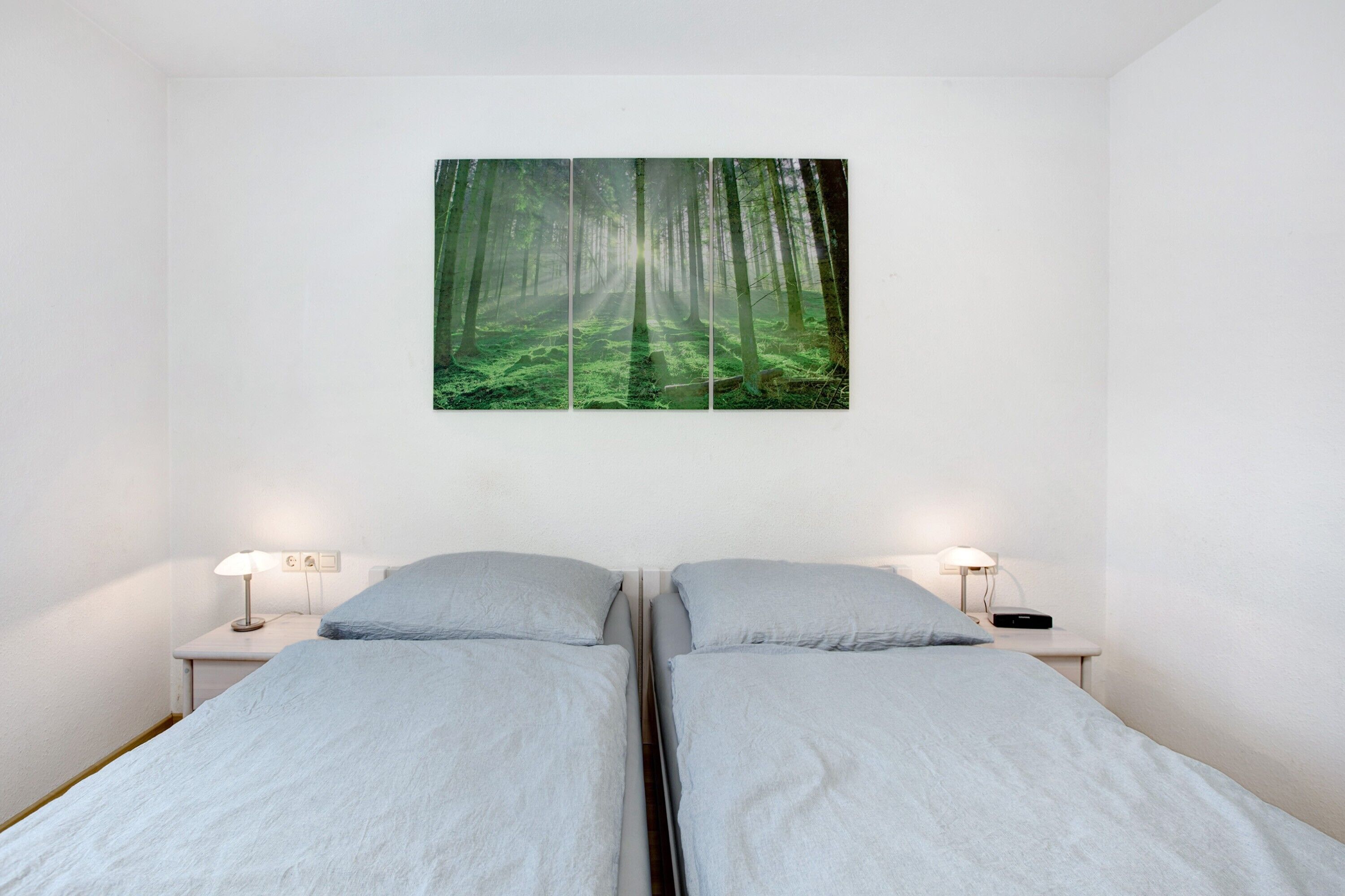 2 bedrooms, iron/ironing board, free WiFi, bed sheets