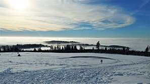 Lumi- ja hiihtourheilulajit