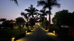 Un vialetto alberato da palme, illuminato da luci a terra, conduce a un edificio.