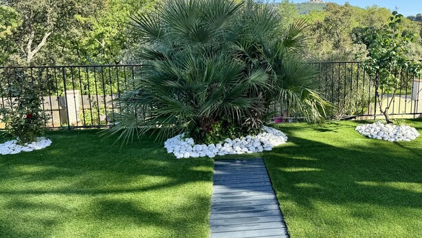Ein gepflegter Garten mit einer zentralen Palme, umgeben von weißen Kieselsteinen und grünem Rasen, begrenzt durch einen Metallzaun.