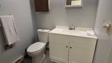 Shower, hair dryer, bidet, towels