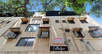 Collection 89074 O Ananta Lodging