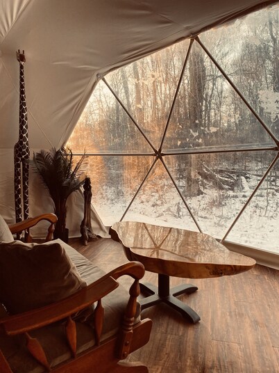 Forest Site Under the stars