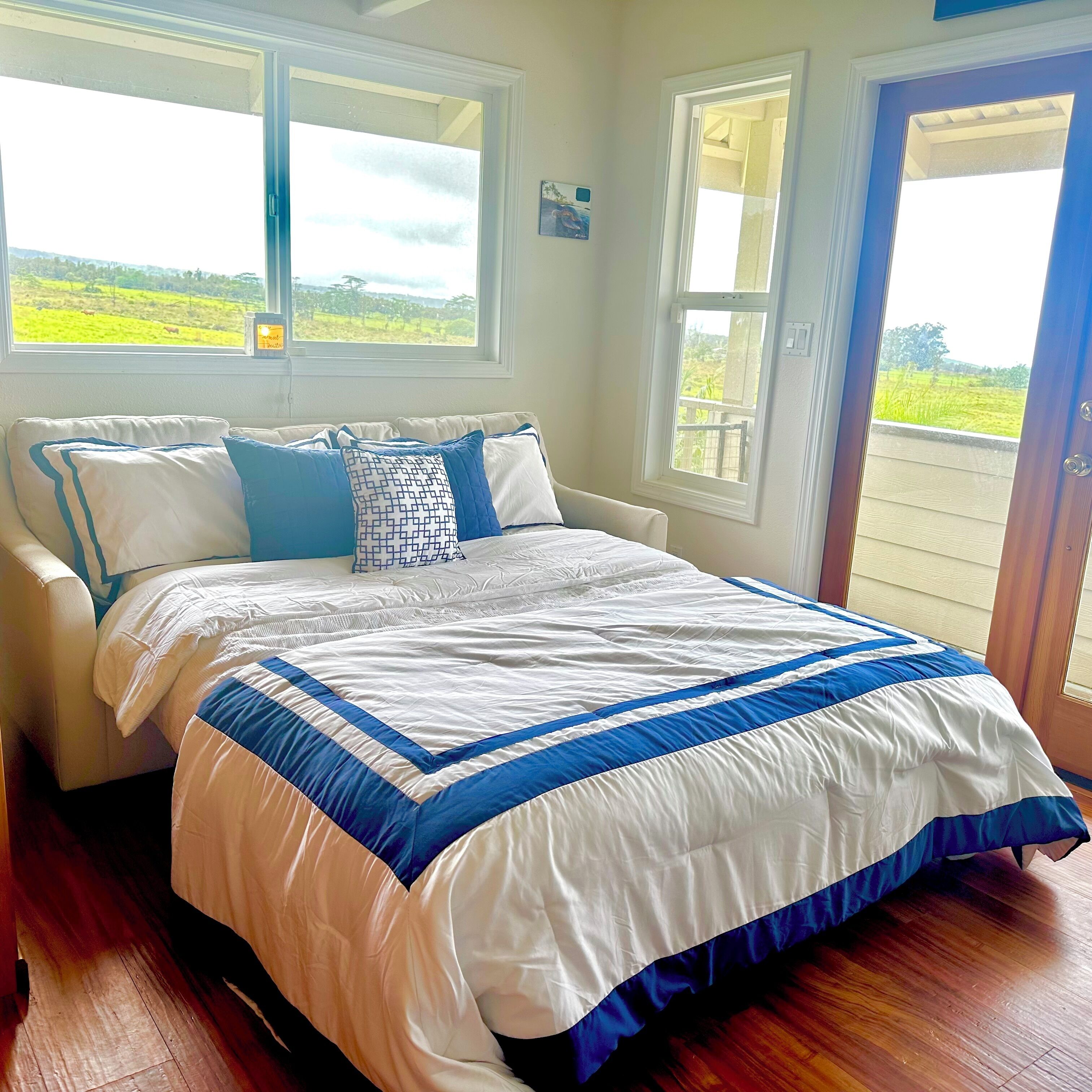 big-island-dream-in-hilo-to-hawaii