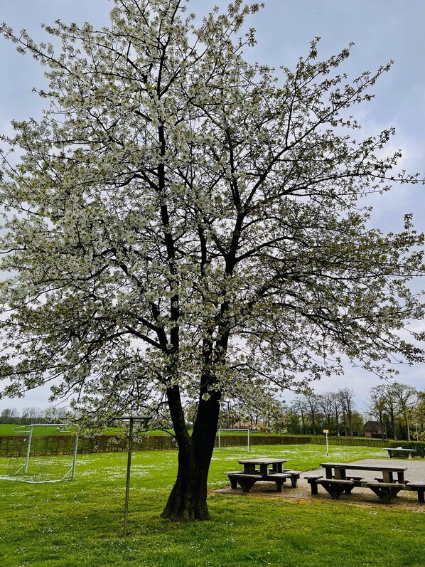 Outdoor dining - Appartementenboerderij ''de Veurdeale'' in Havelte, Steenworp van Giethoorn (Havelte)