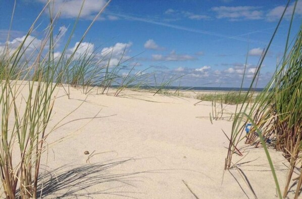 Beach - The Blue House Modern retreat (Wangerooge)