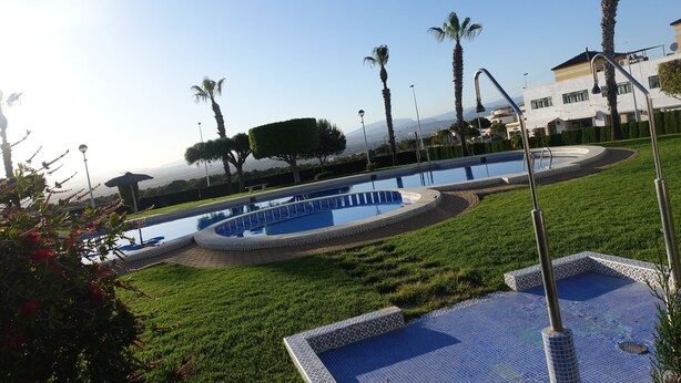 A swimming pool with a tiled deck, surrounded by grass and palm trees.