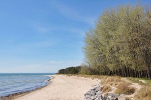 Beach nearby - Geräumige Ferienwohnung Absoluter Strandnähe - Haus Sanddorn Fewo 07 (Thiessow)