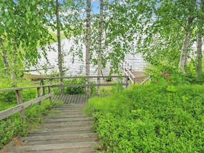 Un escalier en bois menant à une jetée, entouré d’une végétation luxuriante et de bouleaux.