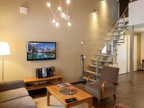 电视、DVD 播放器