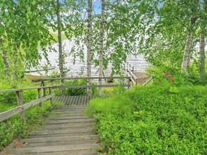 Un escalier en bois menant à une jetée, entouré d’une végétation luxuriante et de bouleaux.