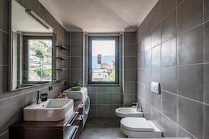 Hair dryer, bidet, towels