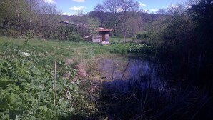 Un chalet rustique entouré d’une végétation luxuriante et bordé d’un étang.