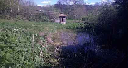 Les Rââąves Nature