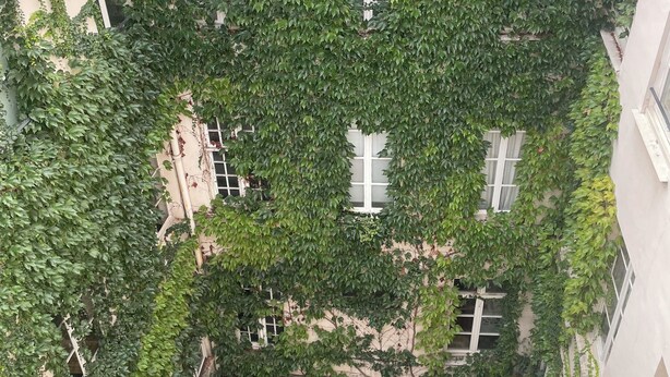 A courtyard with a central staircase surrounded by buildings covered in ivy. - Loft Dans le Quartier Latin (Paris)