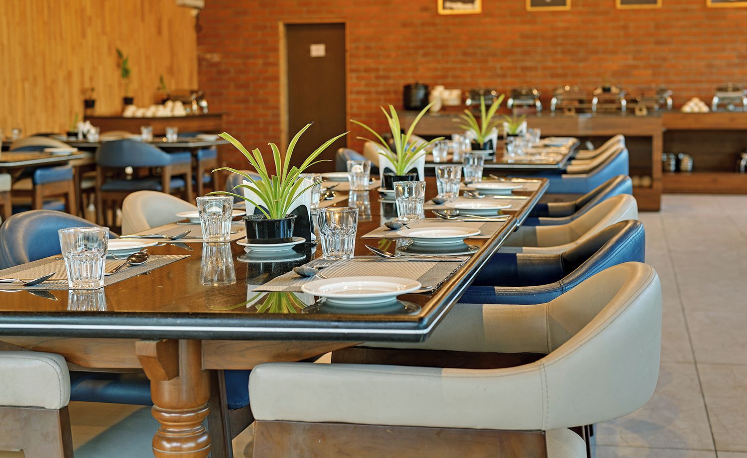 A restaurant with long communal tables, blue cushioned chairs, and small potted plants on the tables.
