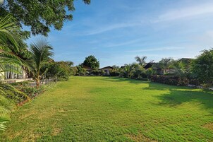 Un césped cuidado con cielo despejado, rodeado de vegetación tropical y una hilera de casas.