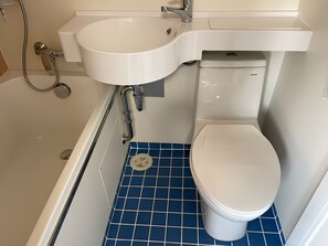 Combined shower/bathtub, hair dryer, towels, shampoo
