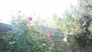 Unclassified image, 2 of 8, button - CasaMia B&B (Riola Sardo)