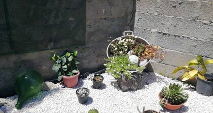 CasaMia B&B