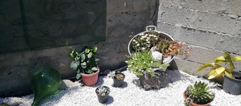 CasaMia B&B