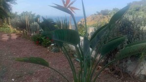 A garden with a variety of plants and a clear view of the ocean in the background. - Charmante Villa vue mer (Tanger)