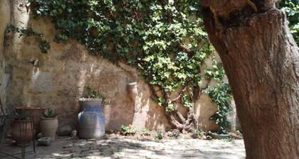 Charmy Petit Apartment With Garden View