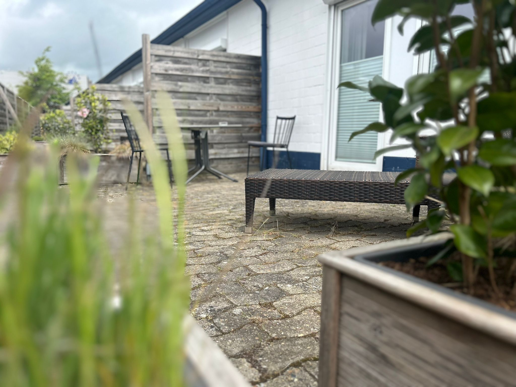 A patio with a wicker bench, a wooden fence, and a potted plant.