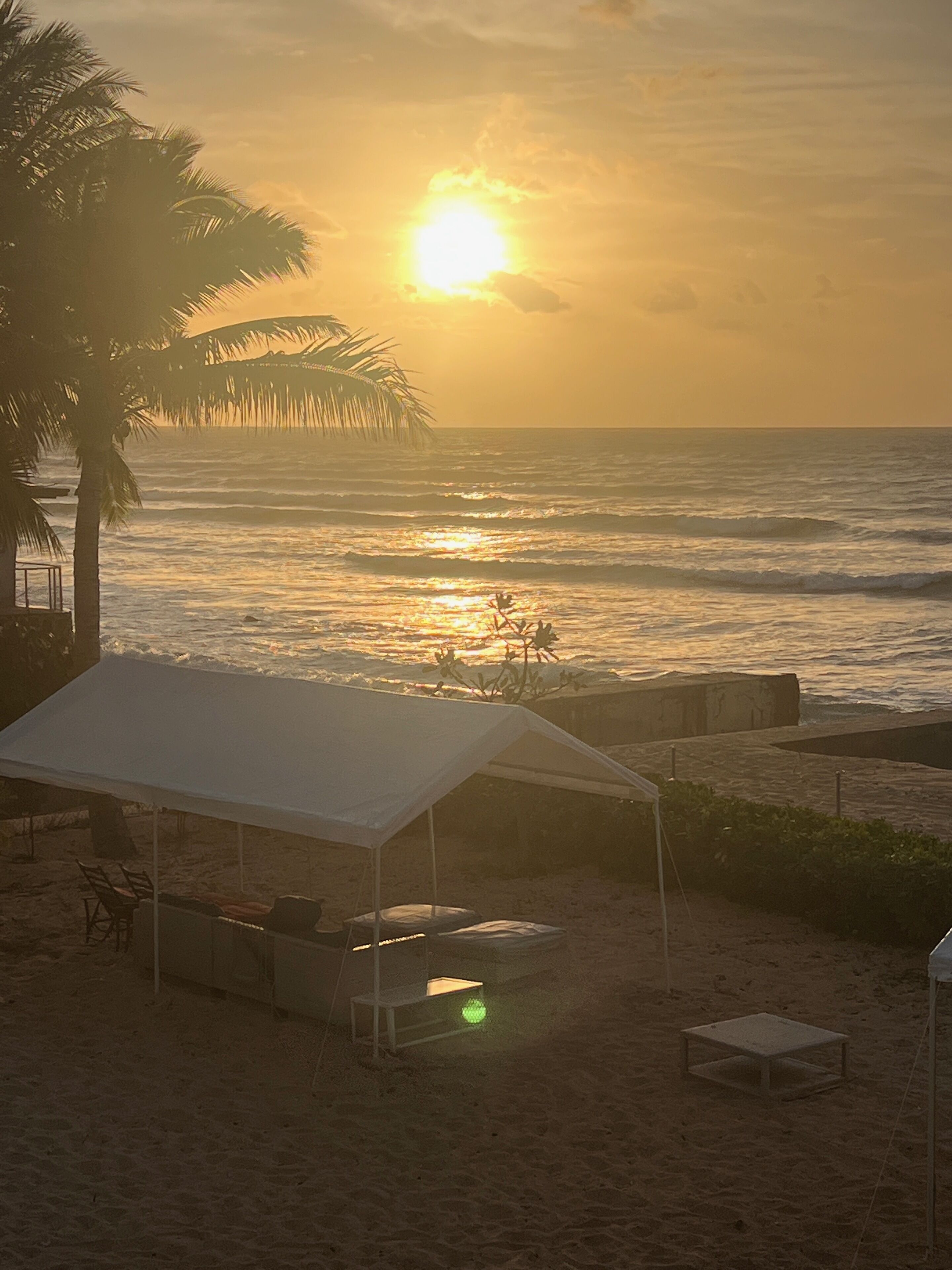 A beach scene with a tent and lounge chairs, a palm tree, and the ocean.