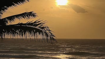 Plage, chaises longues, serviettes de plage