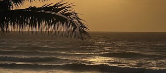 Sunny Hawaii BeachFront Property