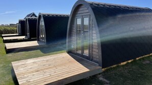 Una hilera de cabañas modernas con forma de cúpula, terrazas de madera y ventanas amplias.