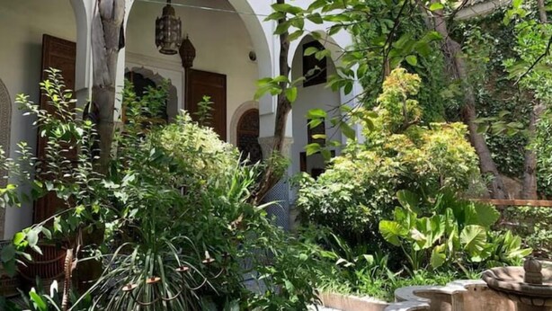 A courtyard with arches, hanging lanterns, and lush greenery. - DAR Benjelloun Studio Plat (Fès)