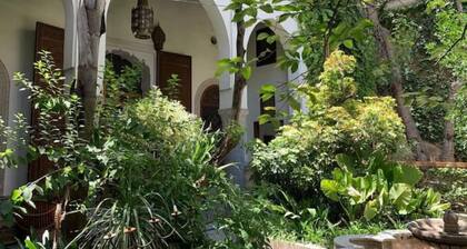 DAR Benjelloun Studio Plat