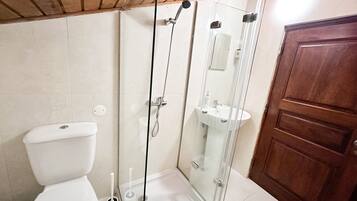 Shower, bidet, towels, soap