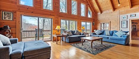 Smart TV, fireplace, DVD player, video library