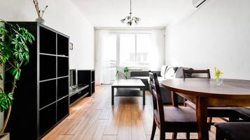 Fernseher, Arbeitsbereiche