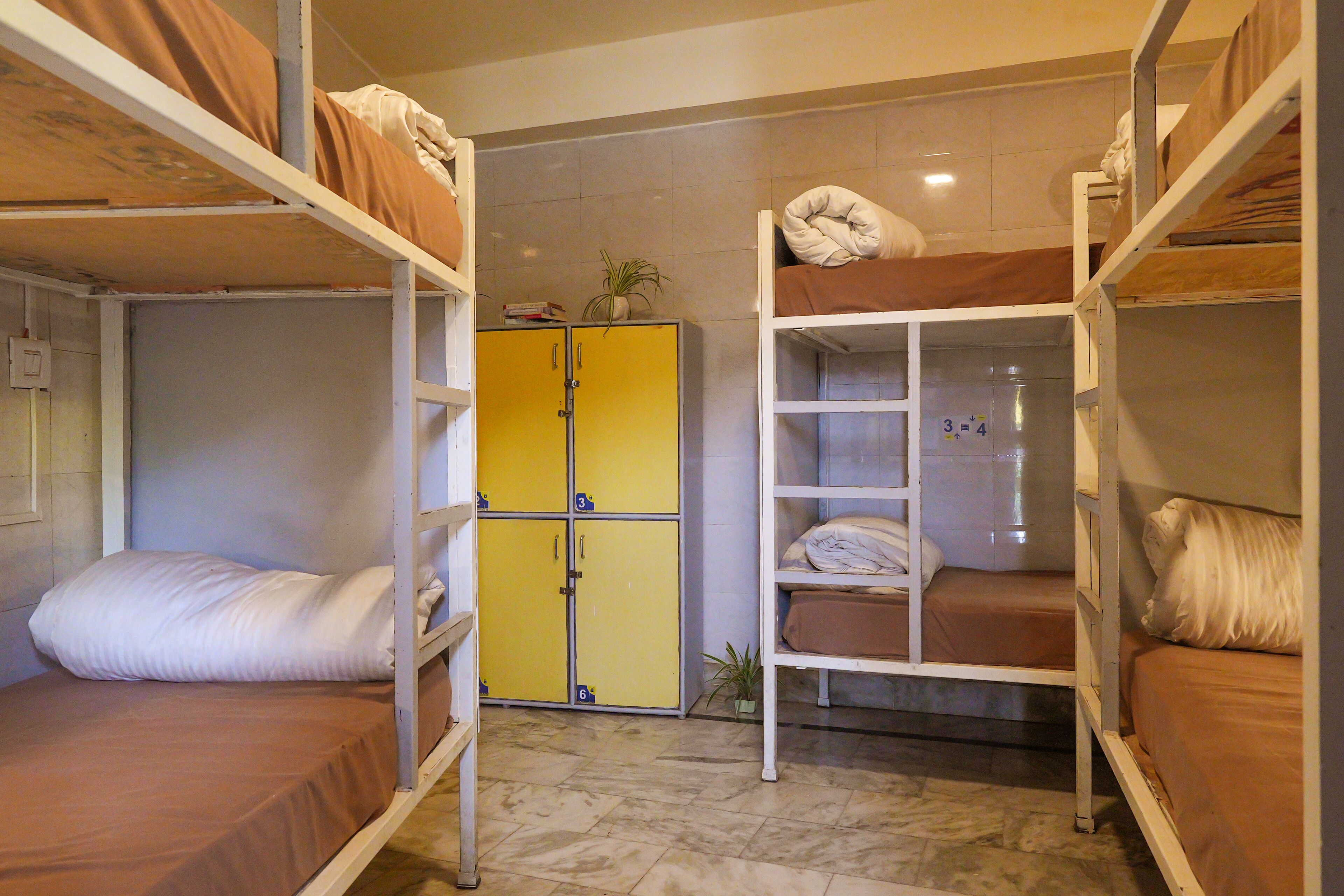 A dormitory room with bunk beds, a yellow wardrobe, and a small plant.