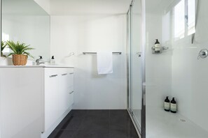 Shower, hair dryer