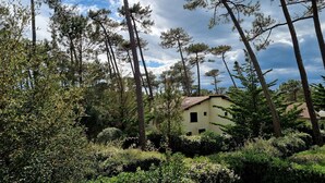 Property grounds - Charming Villa: Walk to Beach, Shops, and Forest Retreat in Seignosse (Seignosse)