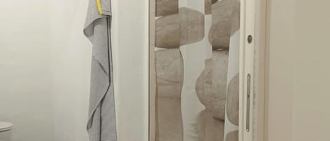 Shower, hair dryer, bidet