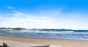 Surf/bodyboard